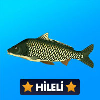 True Fishing 1.16.4.822 Para Hileli Mod Apk indir