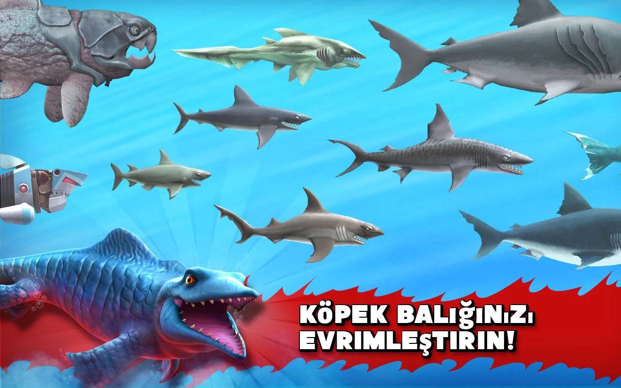 Hungry Shark Evolution 8 8 10 Para Hileli Mod Apk Indir Apk Dayi Android Apk Indir