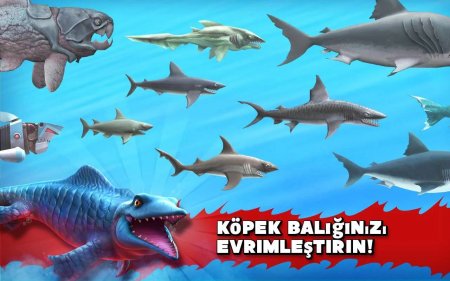 Hungry Shark Evolution 11.1.2 Para Hileli Mod Apk indir