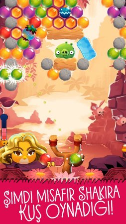 Angry Birds POP - Shakira Bird 3.105.1 Sonsuz Can ve Para Hileli Mod Apk indir