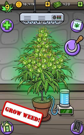 Pot Farm - Grass Roots 1.9.0 Para Hileli Mod Apk indir