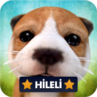 Dog Simulator 3D 1.6 Kilitler Açık Hileli Mod Apk indir