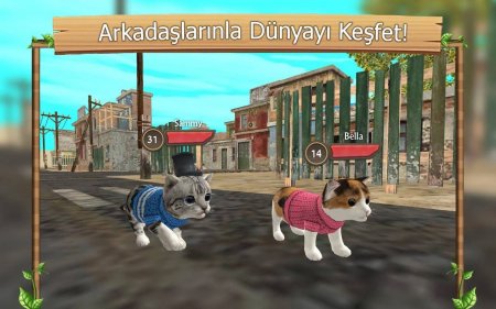 Cat Sim Online: Play with Cats 205 Para Hileli Mod Apk indir