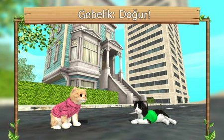 Cat Sim Online: Play with Cats 205 Para Hileli Mod Apk indir