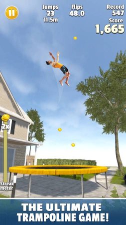 Flip Master 2.2.1 Para Hileli Mod Apk indir