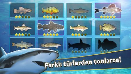 Fishing Simulator - Hook & Catch 1.0.0 Para Hileli Mod Apk indir