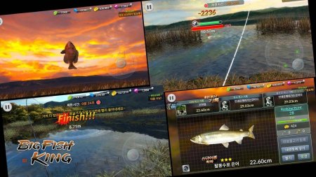 BIGFISH KING 1.0.0 Kolay Hileli Mod Apk indir