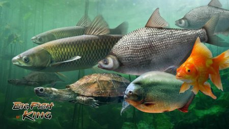 BIGFISH KING 1.0.0 Kolay Hileli Mod Apk indir