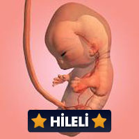 9 Months 1.35.2 Elmas Hileli Mod Apk indir