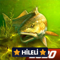 My Fishing World 1.15.109 Para Hileli Mod Apk indir