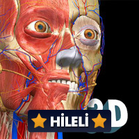 Anatomy Learning 2.1.329 Para Hileli Mod Apk indir