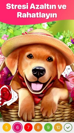 Hey Color - Color by Number 1.7.2 İpucu Hileli Mod Apk indir